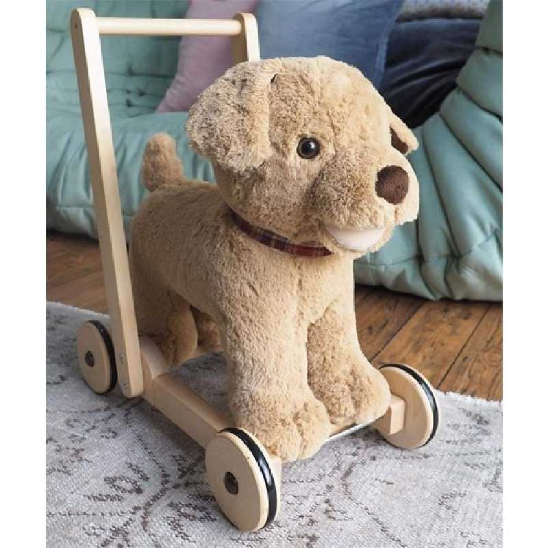 Pousseur Dexter Le Chien Marron 12m+ Pousseur Dexter Le Chien Marron 12m+