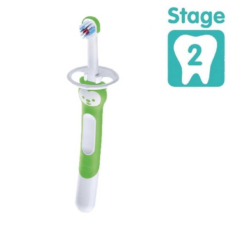 Brosse d'entrainement avec bouclier de sécurité Vert Brosse d'entrainement avec bouclier de sécurité Vert