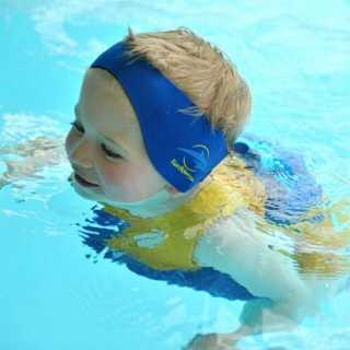 Bande protection pour oreilles adulte Bleu
