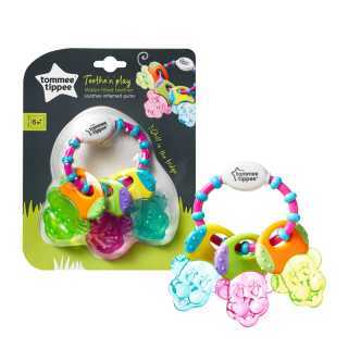 Clés de dentition Multicolore 6m+