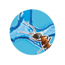 Mini monde des fourmis Buki