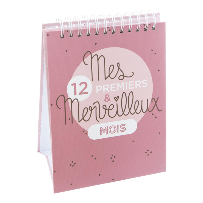 Album Mes premiers 12 mois Rose Album Mes premiers 12 mois Rose