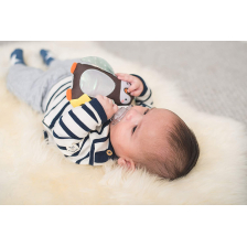 Jouet bébé Prince Le Pingouin Taf Toys