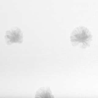 Rideau chambre enfant multi pompons Gris - Atmosphera For Kids