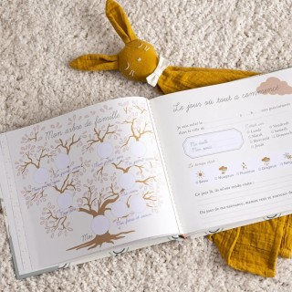 Livre de naissance bébé Vert - Atmosphera For Kids